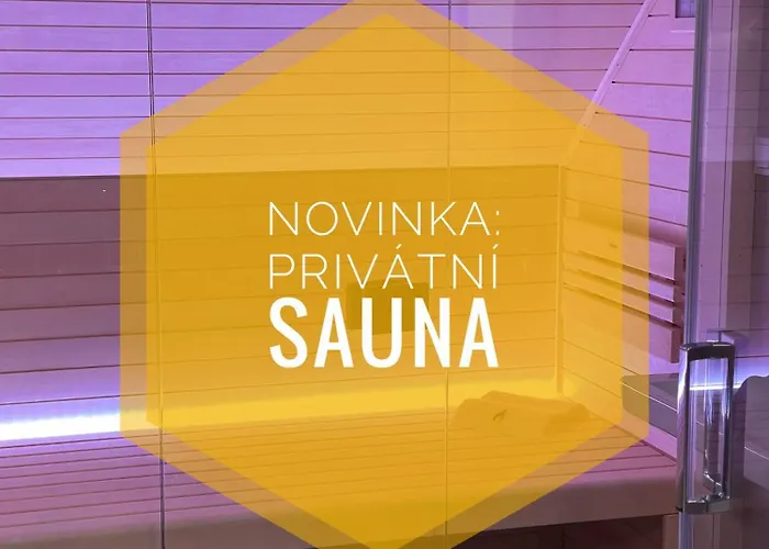Studio Kralovice Apartment